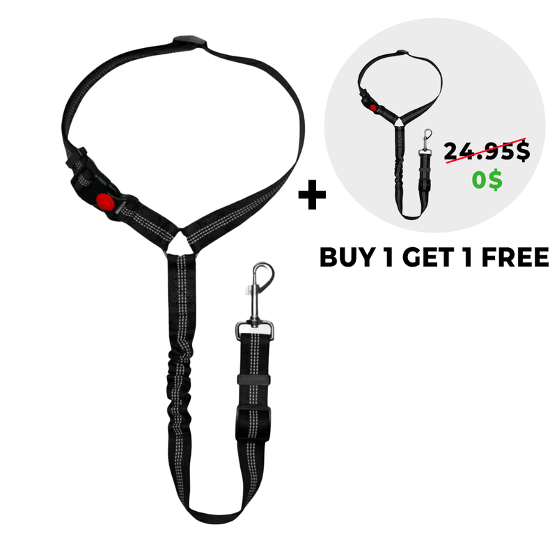 Noomsy Dog Car Safety Seat Belt & Leash