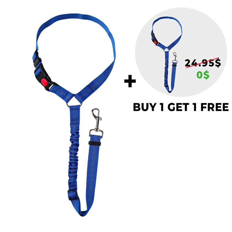 Noomsy Dog Car Safety Seat Belt & Leash