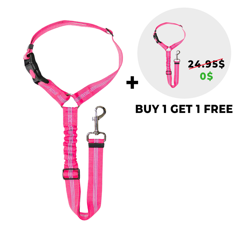 Noomsy Dog Car Safety Seat Belt & Leash
