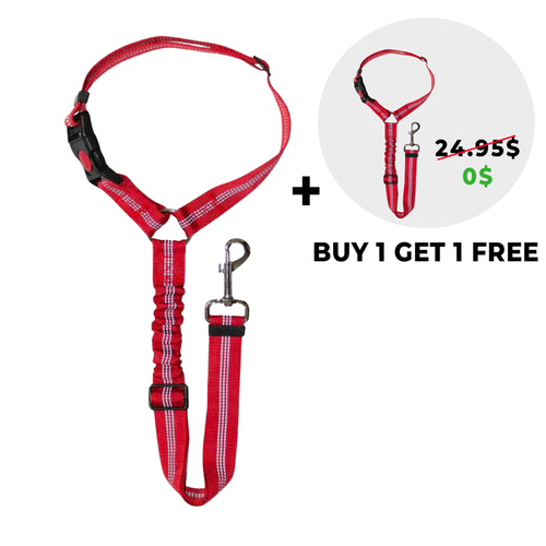 Noomsy Dog Car Safety Seat Belt & Leash